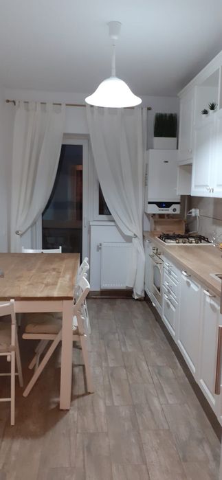 Studio zona Theodor Pallady