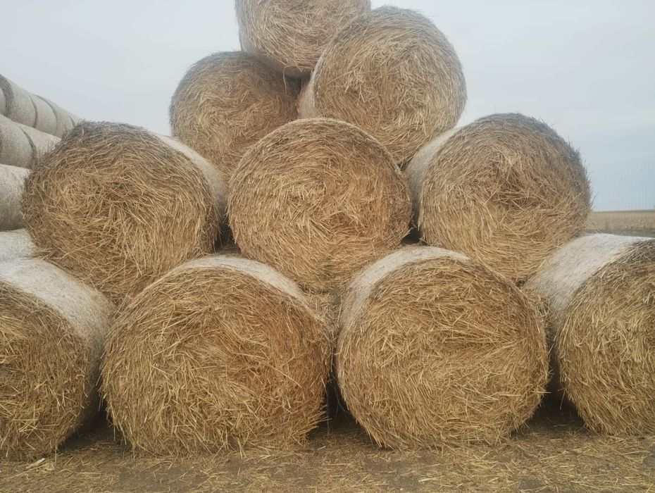 Vând/ schimb  cu diverse