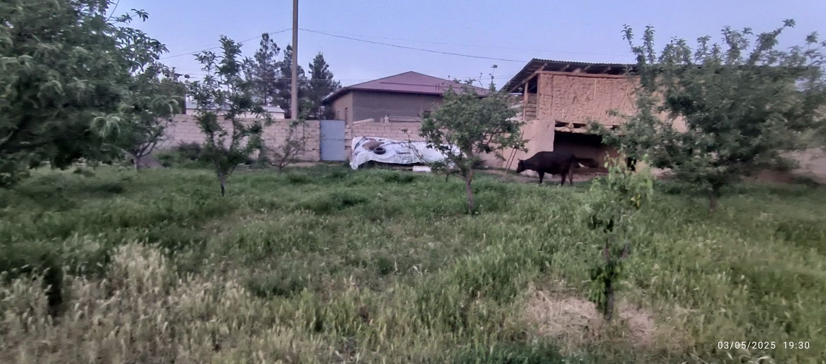 Toshkent shahar yashnabod tumani