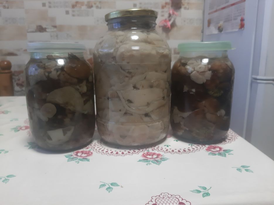 Продам грибы Валуи и грузди 1литр 3000тенге банки на обмени