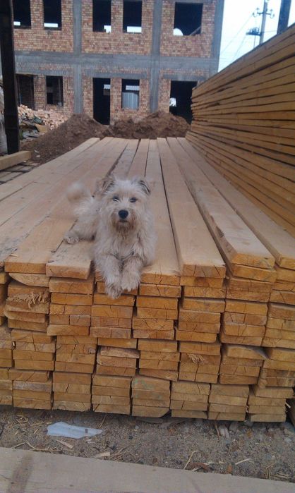 Отопление Водопровод Сантехника