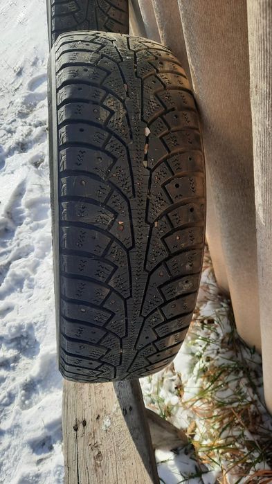 Зимние шины Triangle