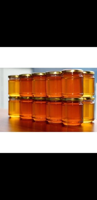 Miere salcâm,  rapiță și floarea soarelui