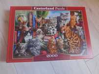 Castorland пъзел 2000 части Къщата на котките