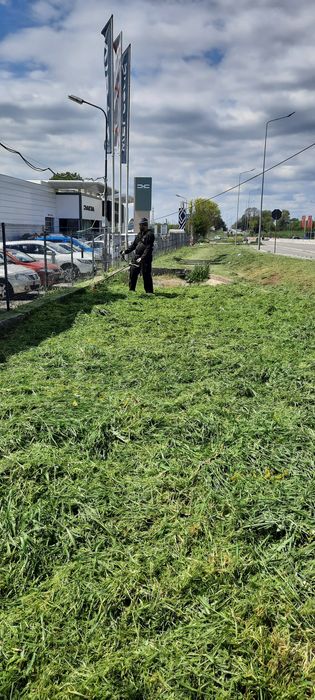 Curățare cosire defrisare terenuri iarba -arbusti-copaci-ambrozie
