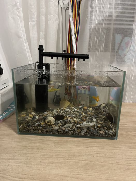 Acvariu si pompa