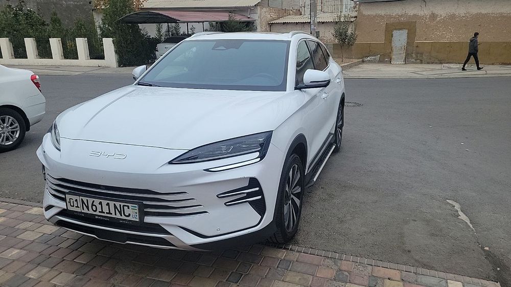 Byd chempion 110 li gibrid