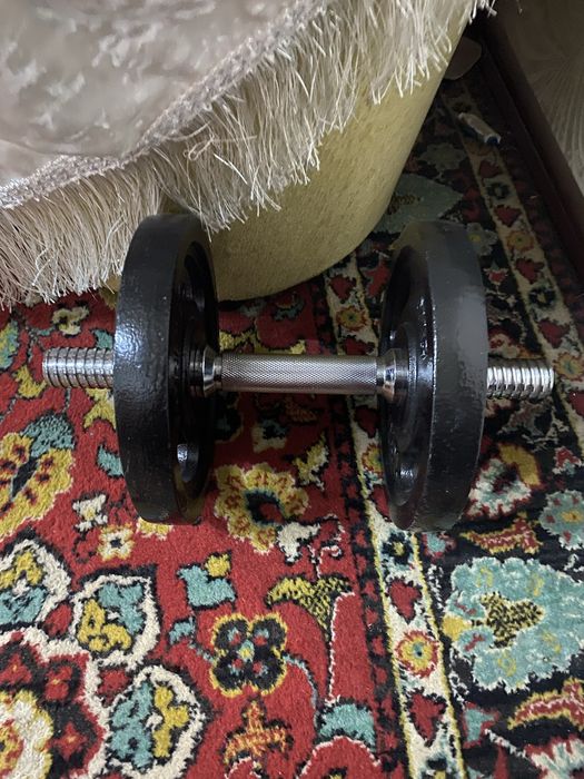 продам гантель зазборный название torneo общий вес 12кг