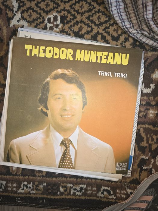 Discuri  de vinil