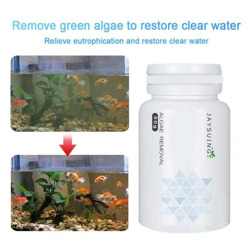 Eliminați excesul de alge din acvariu - iaz