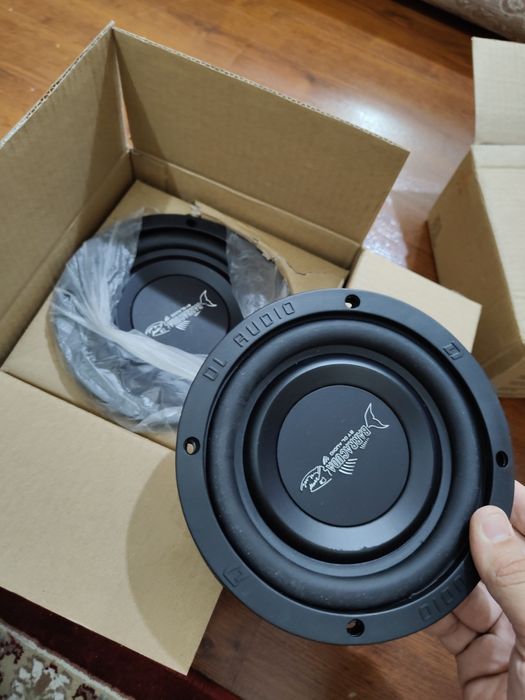 DL audio barracuda flat 6.5 midbass mid bass