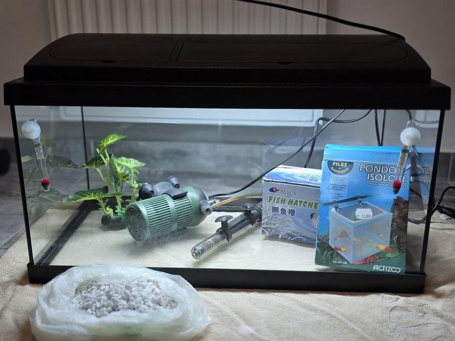 Set complet acvariu 40l