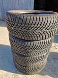 225 55 17  M+S  Nokian 2021