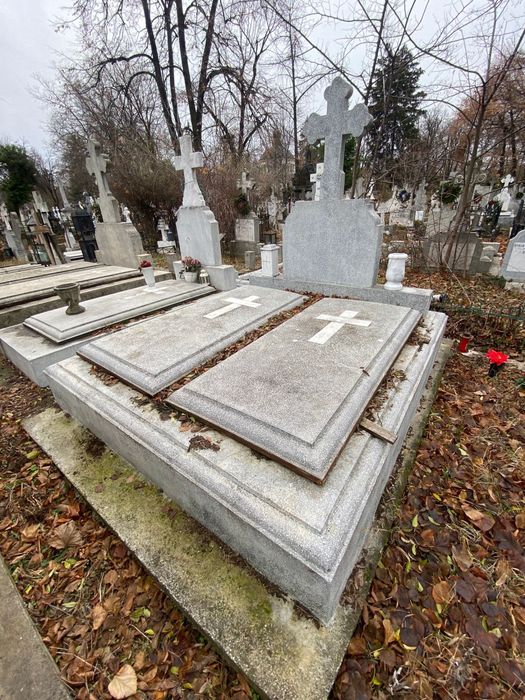 Loc de veci - cimitirul Bellu