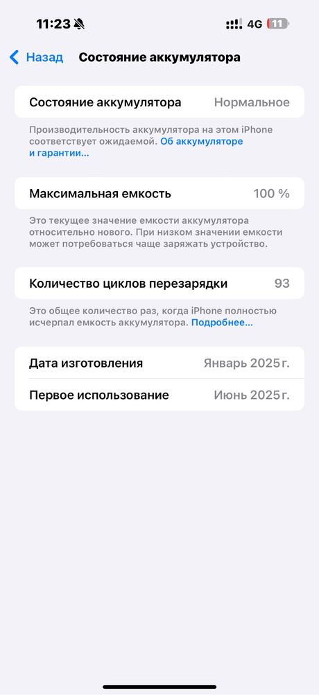 16max LLA 256gb 100%