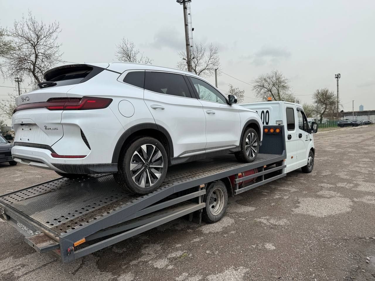 Byd Champion full restyling