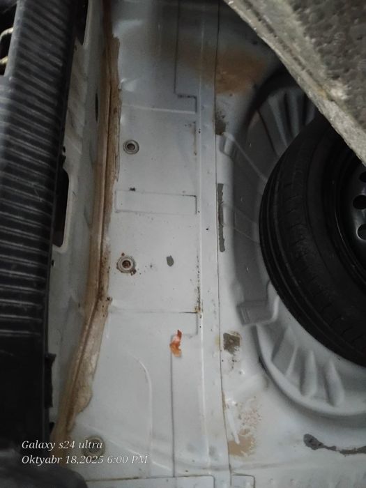 Nexia -2  Kraska toza 2016