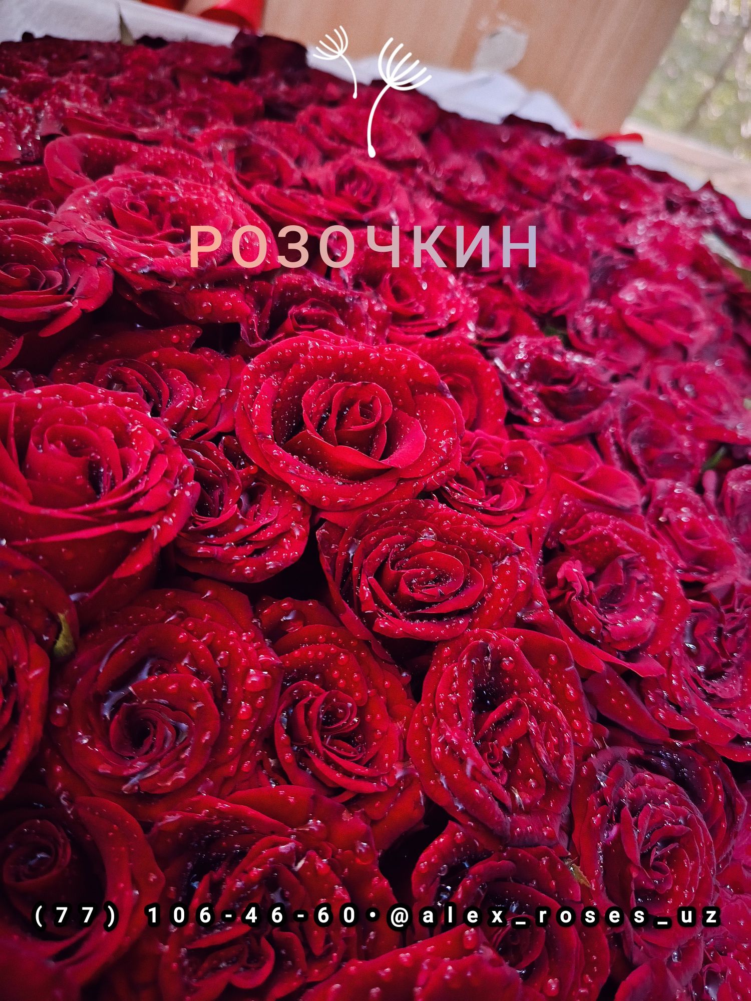 Доставка Роз Цветов) От 101 до 1001 розы. От 650.000 сум.