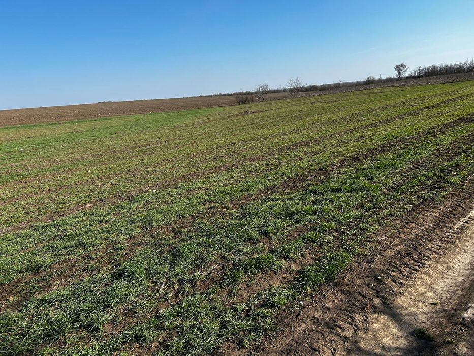 Vand teren intravilan