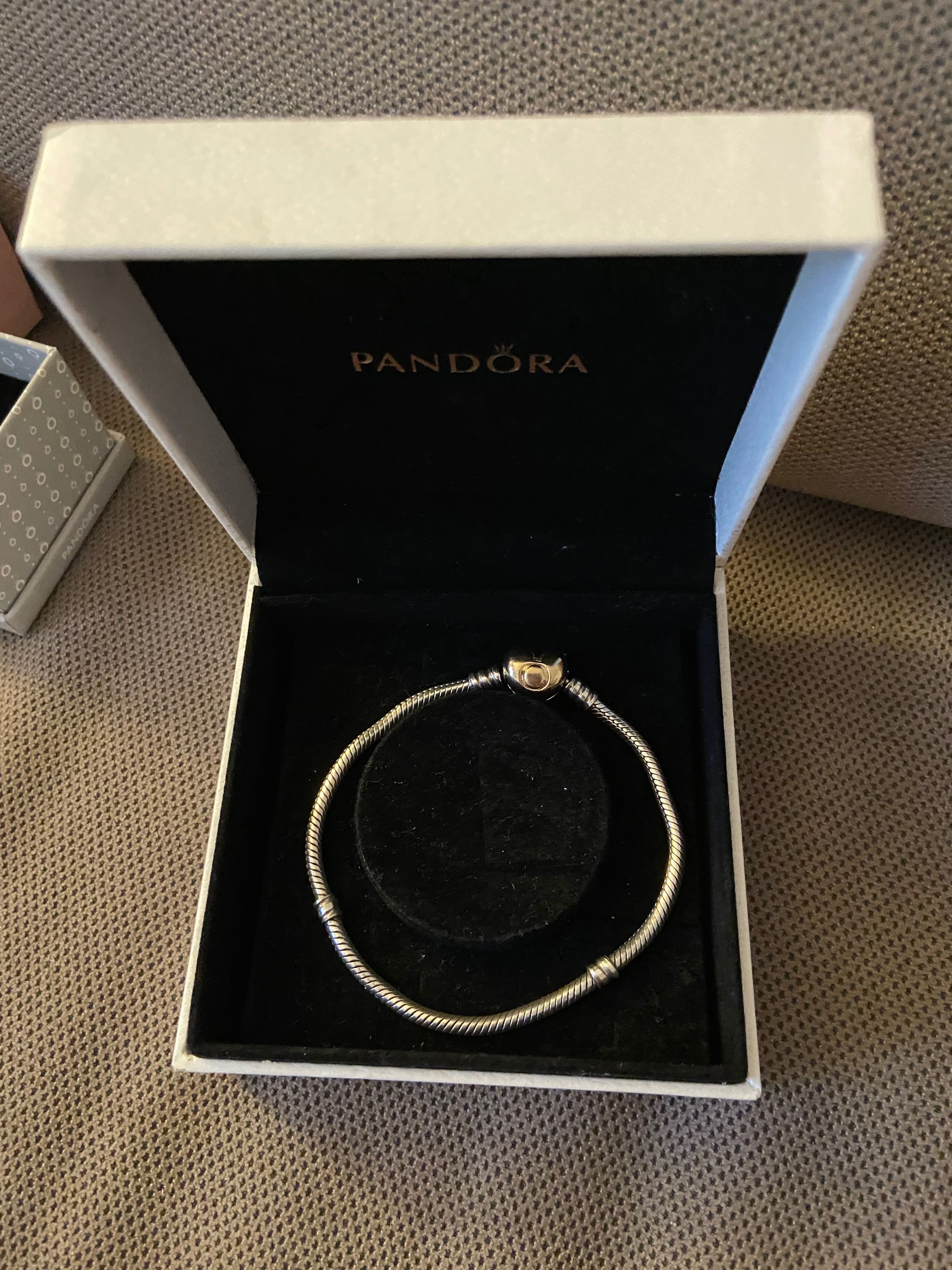Гривна и талисмани Pandora