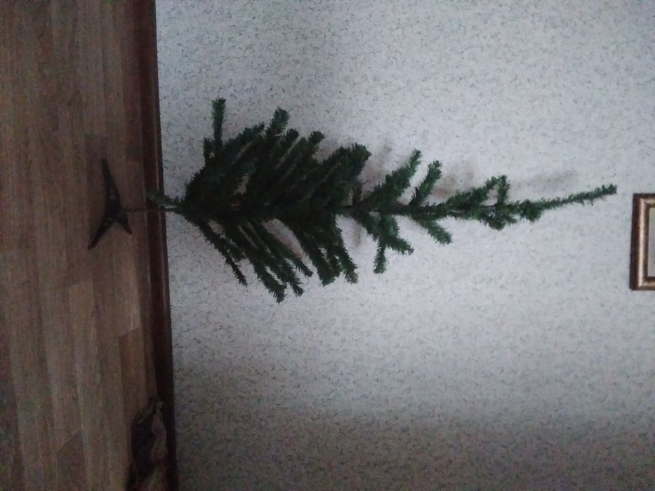 Ёлка новогодняя елка