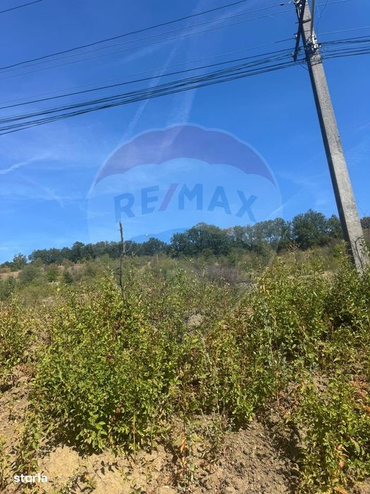 Vânzare 6600 mp teren Leamna de sus 40 euro/ mp