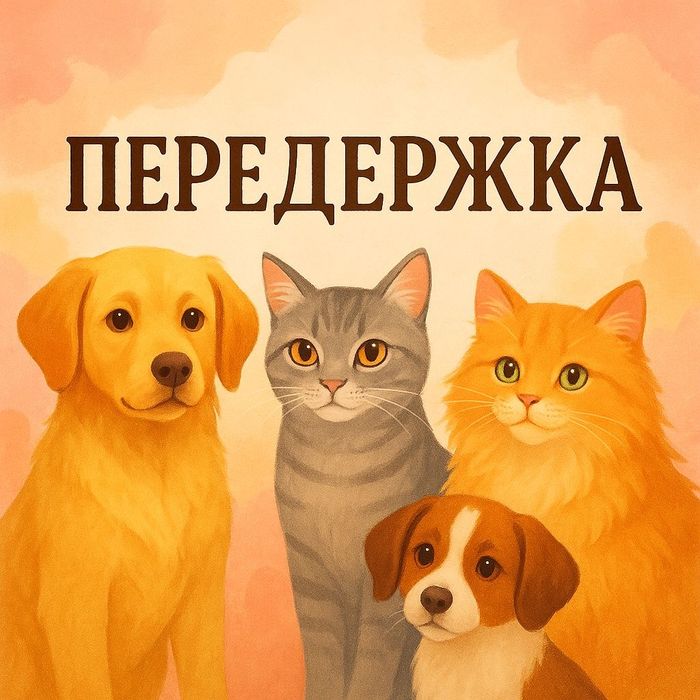 Домашняя передержка