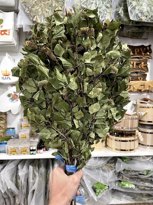 ВЕНИКИ ДЛЯ БАНИ! Лучшие веники для бодрящего пара!