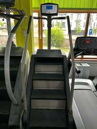 Scara fitness Nautilus / StairMaster SM916