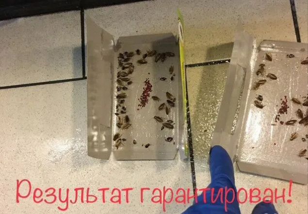 Дезинфекция!Уничтожение насекомых! Клопов, тараканов и т.д