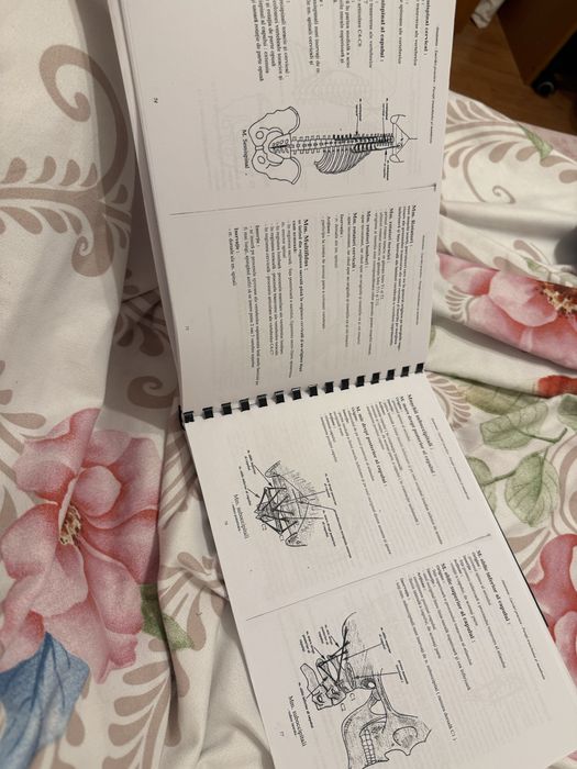 Carte anatomie Lupu peretii trunchiului si membre