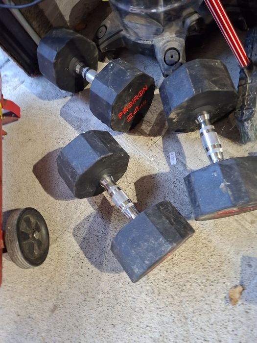 Gantere 24 kg profesionale