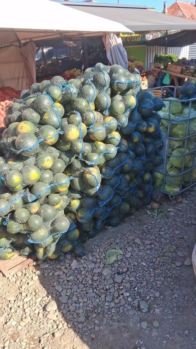 Cartofi și varză 2 lei transportul gratuit