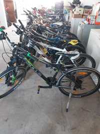 biciclete import Germania