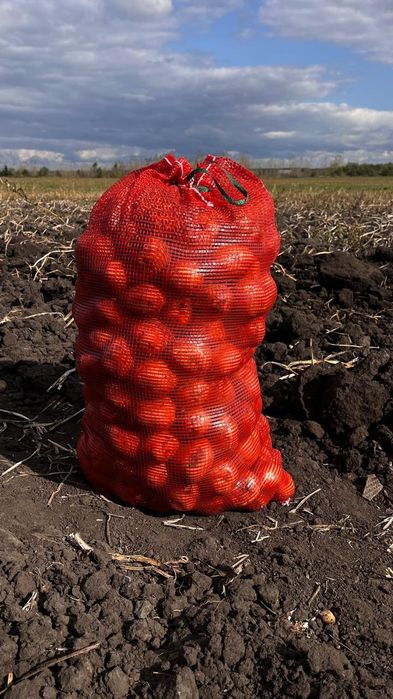 Продаётся картофель.отличного качества.