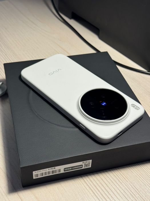 Vivo X300 Pro 24/256