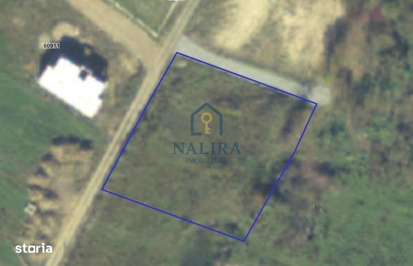Vanzare teren - Tautii Magheraus