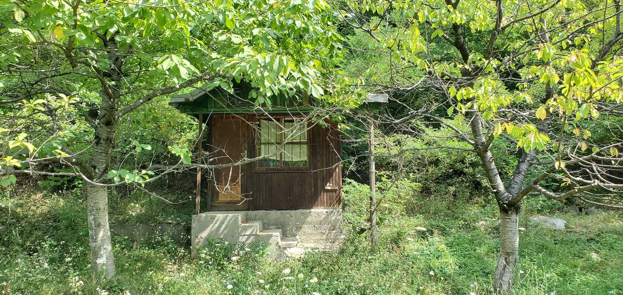 Продава се Парцел в Карлово - 2160 кв.м за 5 €/кв.м - Снимка #3