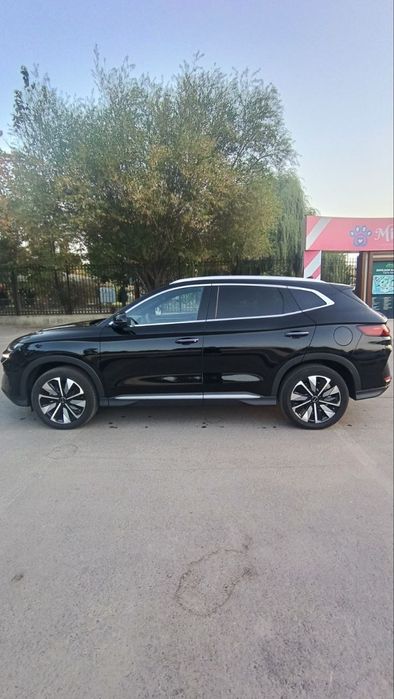 BYD chempion smart 2025