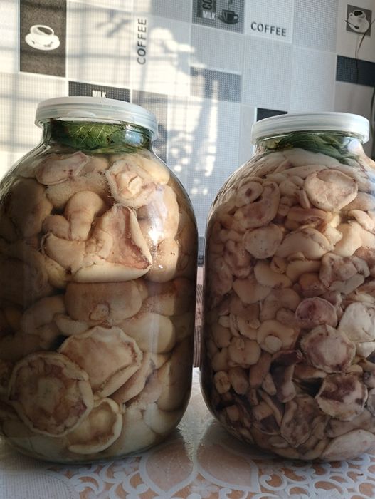 Продам грибы маринованные
