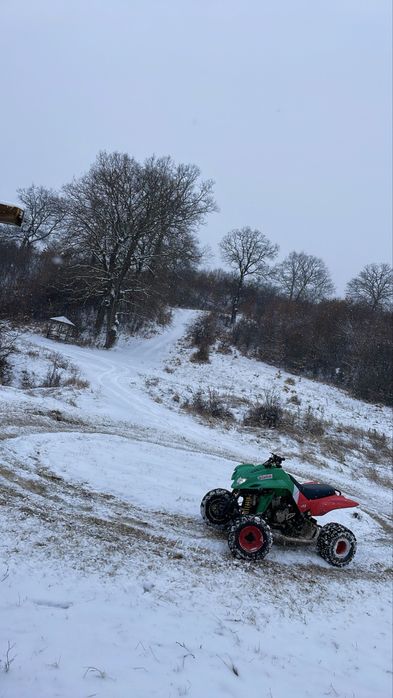 Атв DINLI 450 кубика Castrol Edition