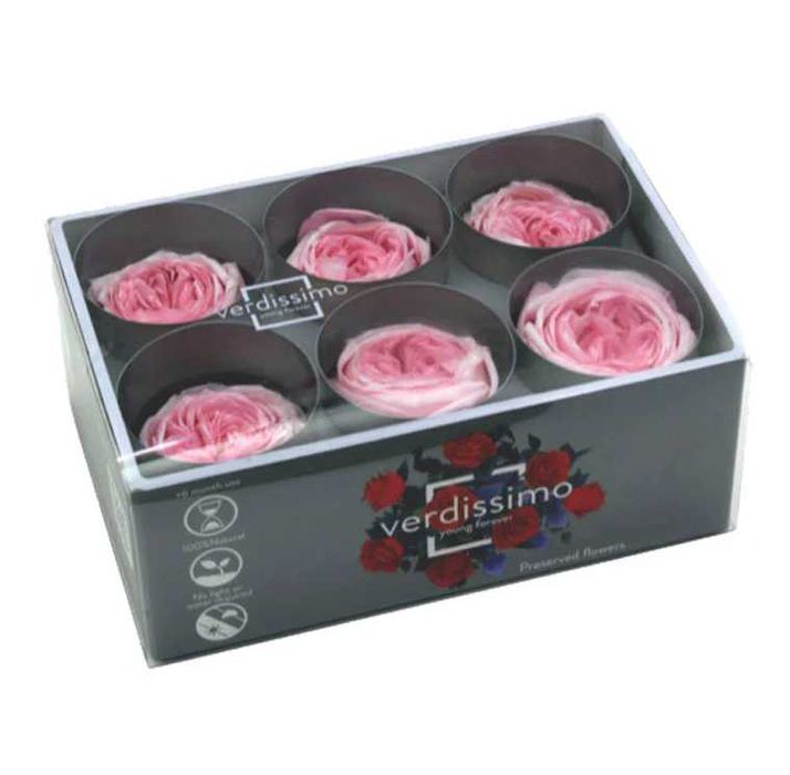 Cutie cu 6 Trandafiri de Gradina Criogenați Roz Pastel – Cadoul etern!