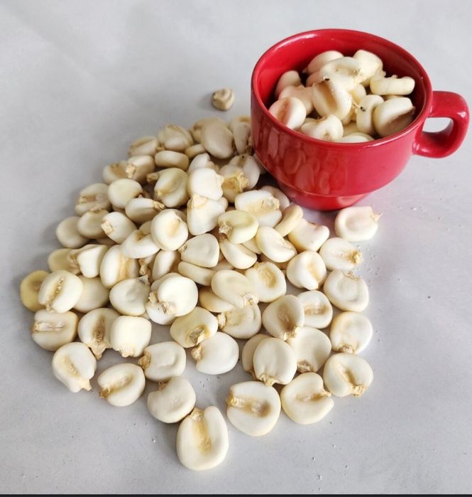 Ақ Жүгері Дәні Сатылады кг500тг