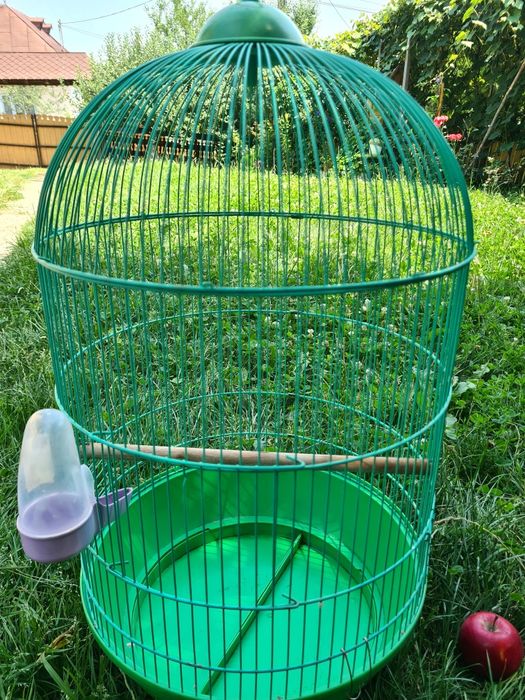 Colivii Frumoase Mari Ieftine