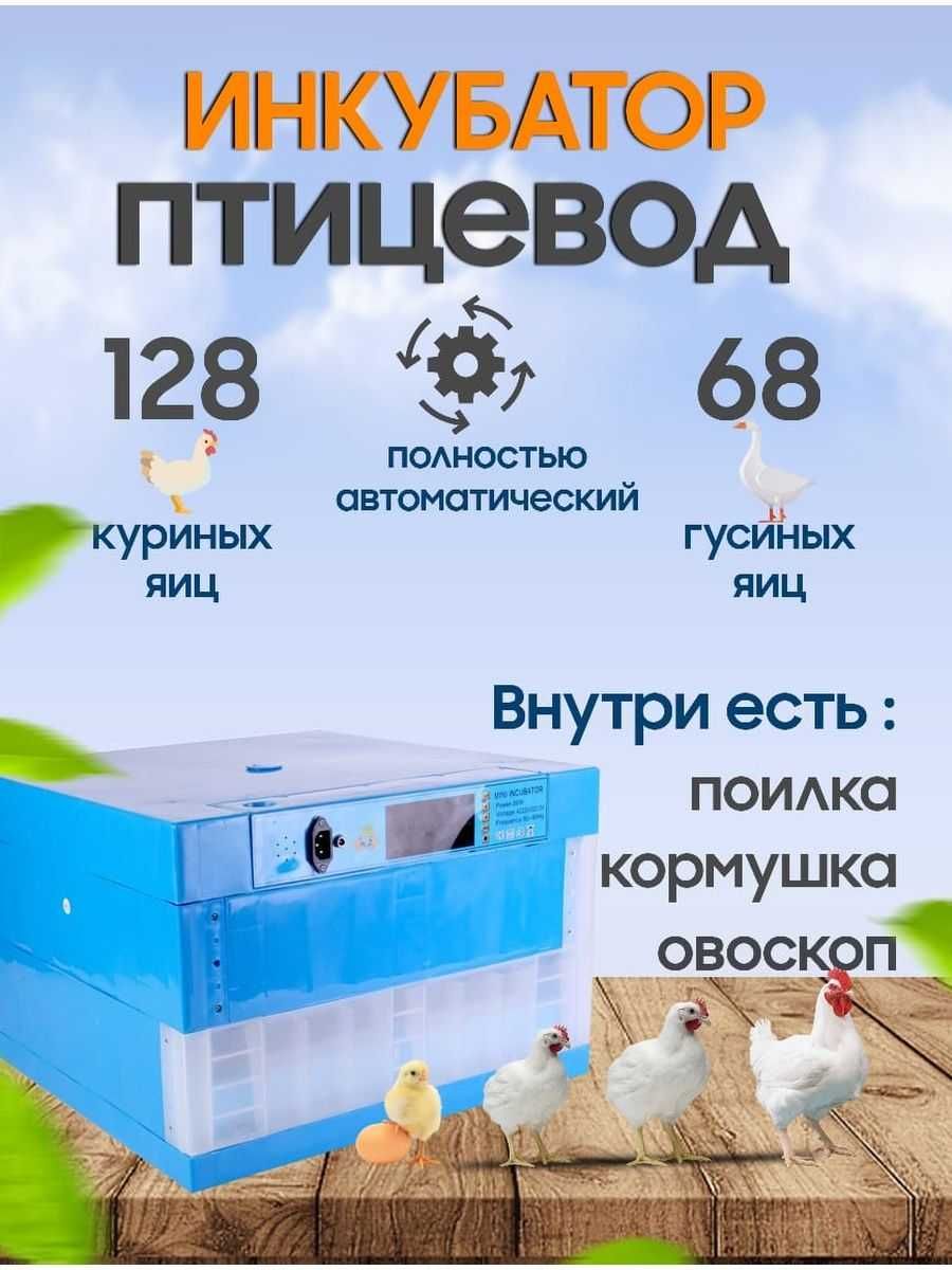 Инкубатор купить