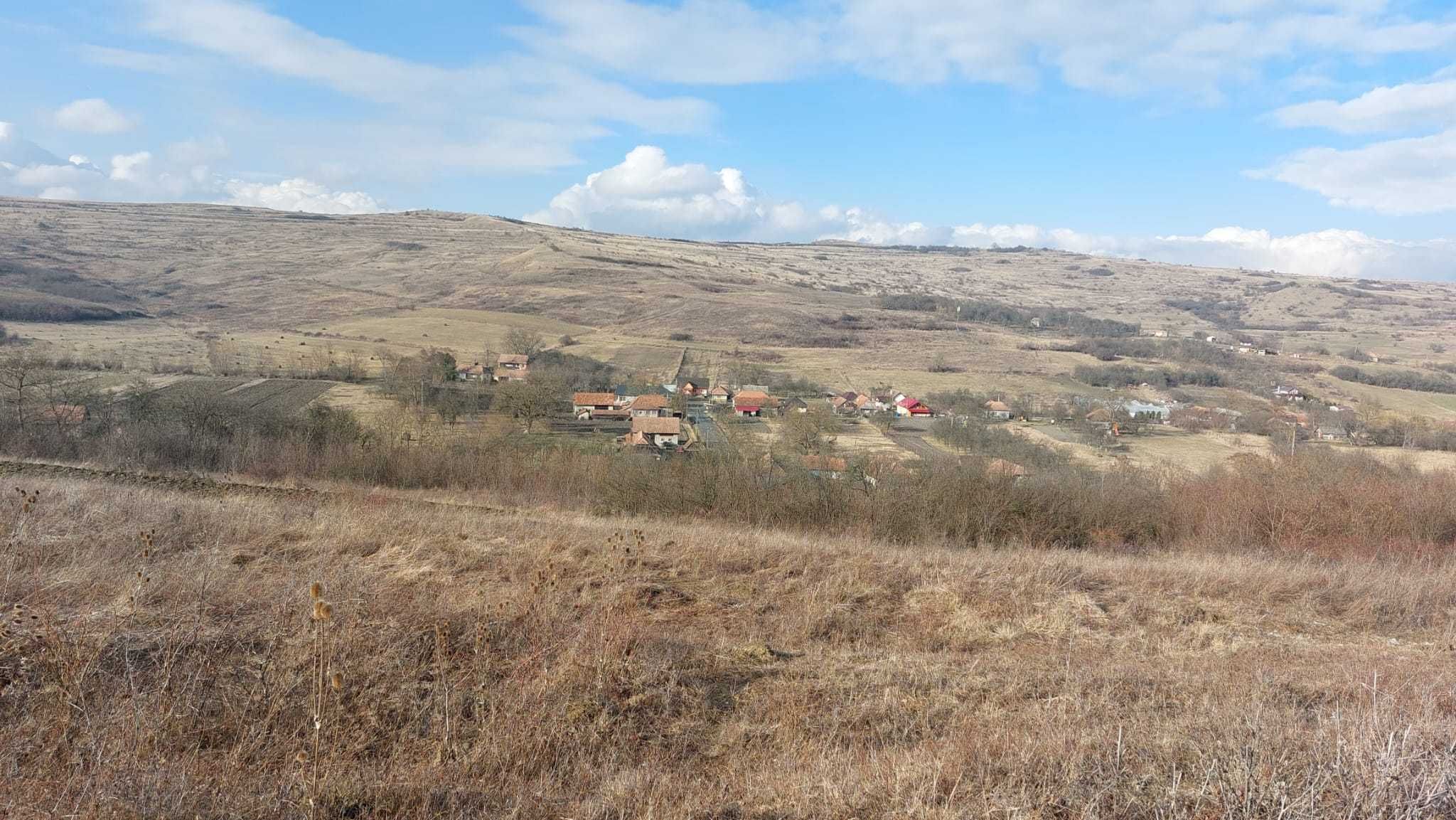 Teren in Feiurdeni, la 15 km de Cluj, utilitati, acces bun