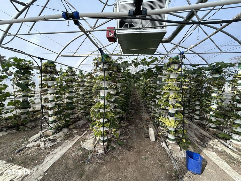 De vanzare-afacere la cheie