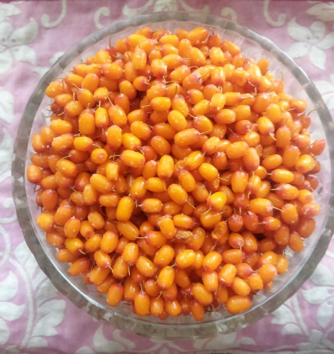 Облепиха, вишня,черноплодная рябина свежемороженая урожай 2025года