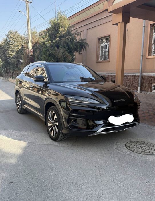 byd champion 605 honor