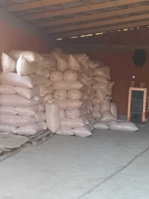 gratuit porumb cu 1.25 kg va servim la domiciliu daca cumparati 4 tone